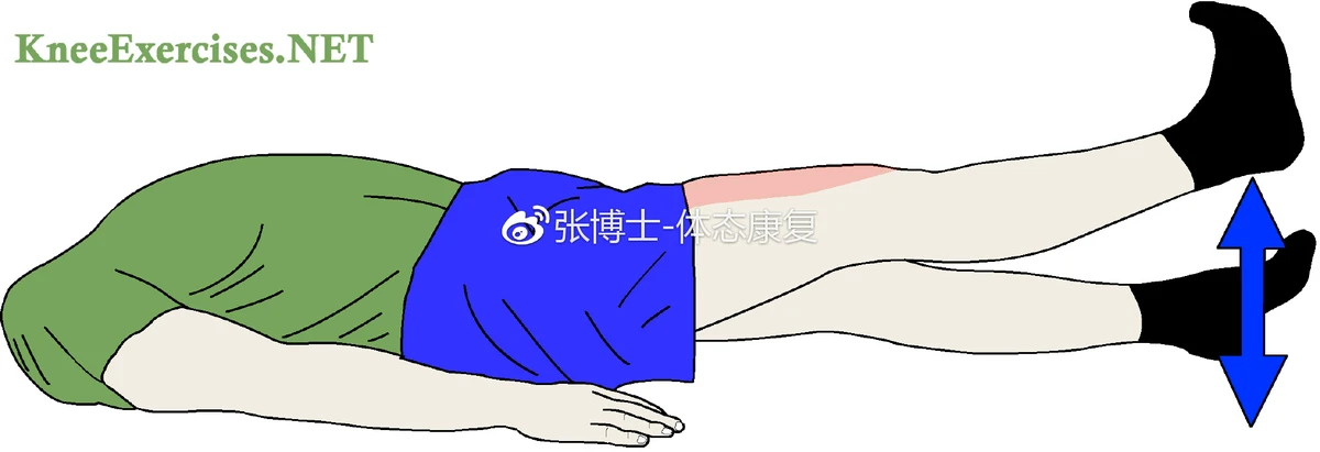 哪里可以找到推广篮球发展的资源_0